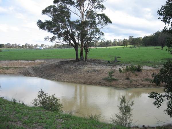 Rural Paradise - 5 Acres Picture 1