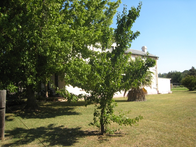 Two Bedroom unit in the heart of town!! Picture Two Bedroom unit in the heart of town!! Picture