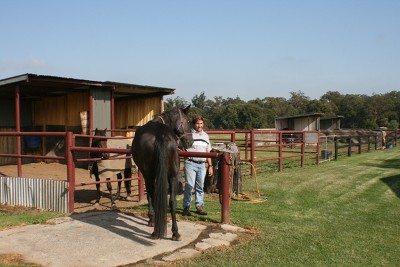 In-Law Accommodation on 5 Acres Picture