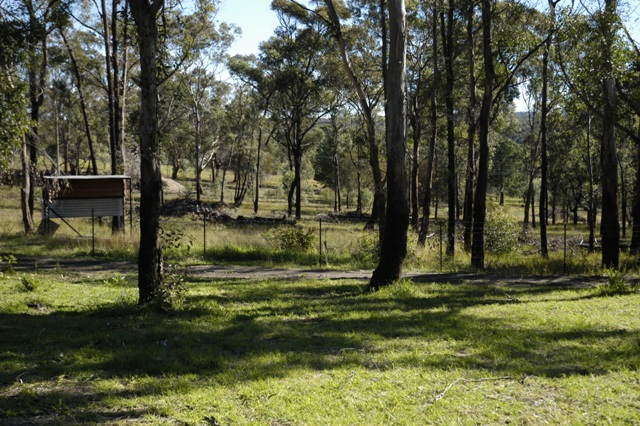 Bargain Buying - 5.6 Acres Picture 2