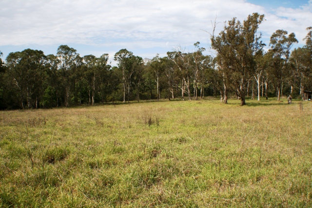 Prime Development Site 9.8 Acres Picture 2