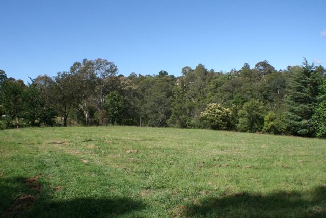 3 Acres!! - Great Location Picture