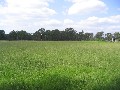 Glorious vacant 5 Acres Picture