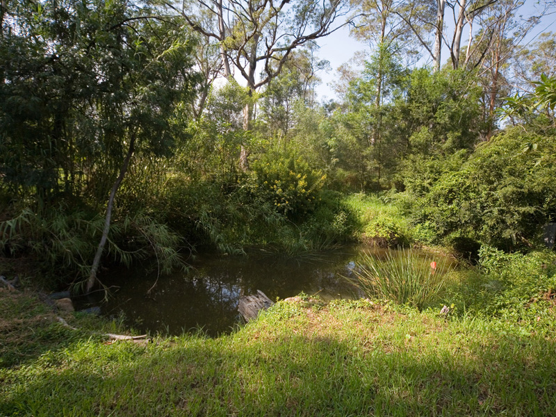 'Timbered Creek' - 5 Acres Picture 3