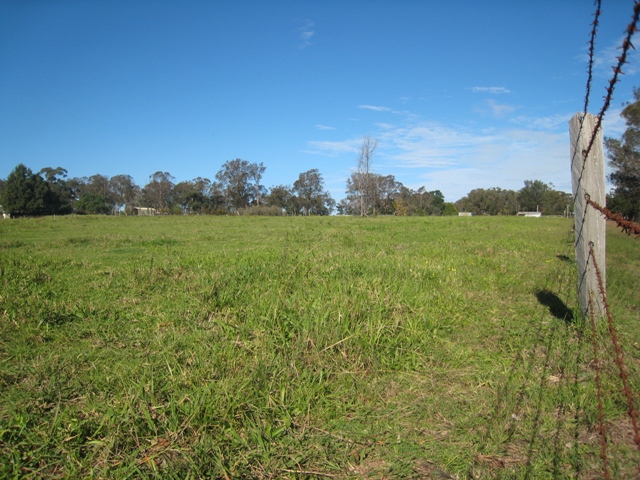 Endless Possibilities on 5 acres Picture 3