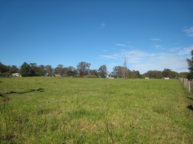 Endless Possibilities on 5 acres Picture 2