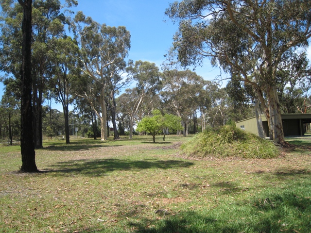 Look No Further 1.5 Acres Picture 1