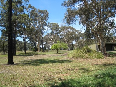 Look No Further 1.5 Acres Picture Look No Further 1.5 Acres Picture