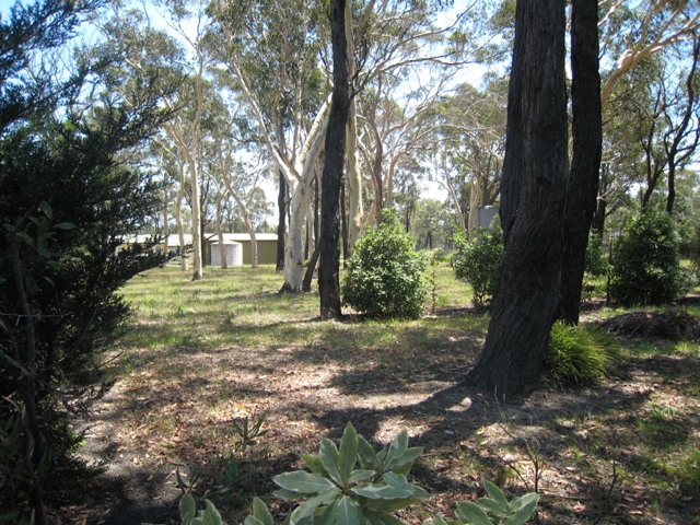 Look No Further 1.5 Acres Picture 3