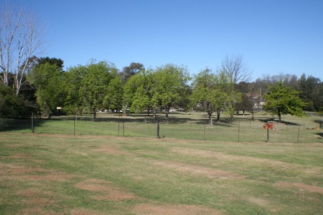 Affordable Vacant Land - Great Spot Picture 2