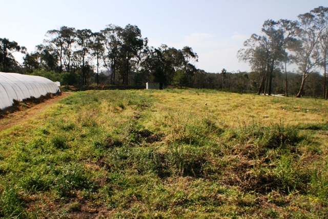 Market Garden -7 Igloos- 5 Acres Picture 3