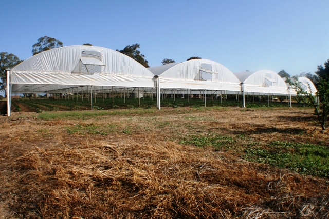 Market Garden -7 Igloos- 5 Acres Picture 2