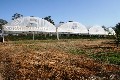 Market Garden -7 Igloos- 5 Acres Picture