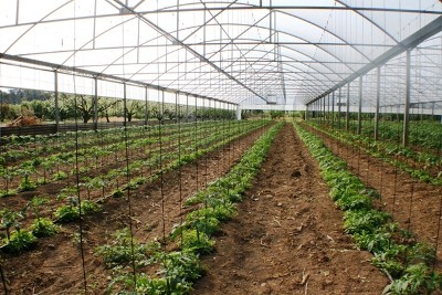 Market Garden -7 Igloos- 5 Acres Picture