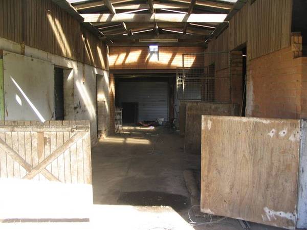 13.5 Acres for the Horse Lover Picture 1