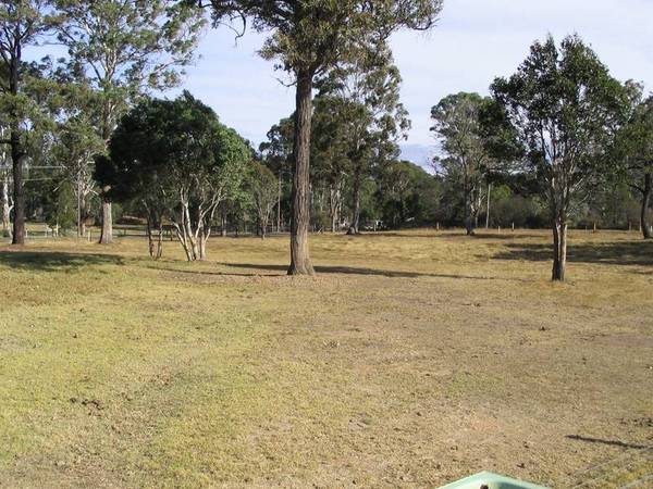 13.5 Acres for the Horse Lover Picture 3