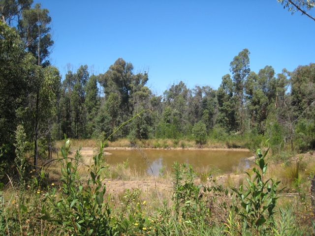 Excellent Private 13.4 Acres Picture 3