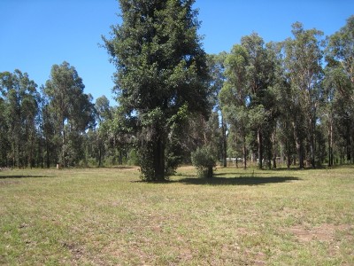 Excellent Private 13.4 Acres Picture Excellent Private 13.4 Acres Picture