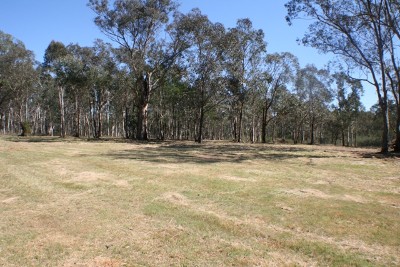 Comfortable home on 24 Acres Picture