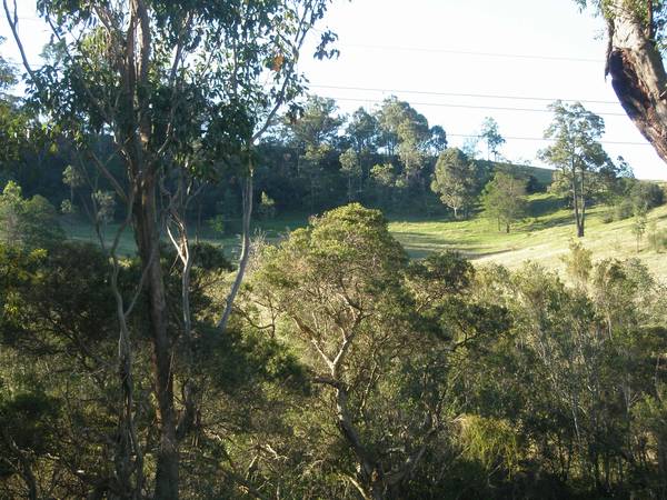 Outstanding Position - 1025m2 Picture 3