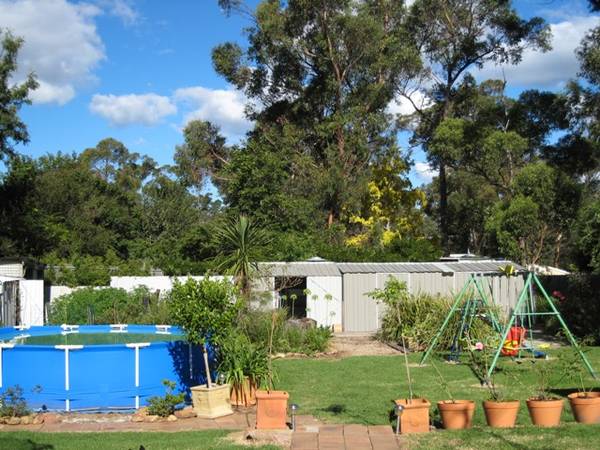 Family Friendly - 1164m2 Picture 3