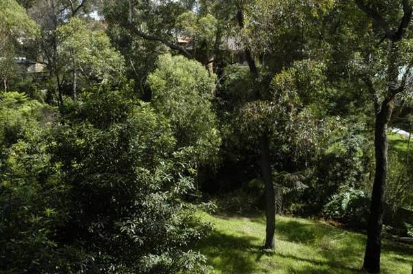 Unique Experience Picture 3