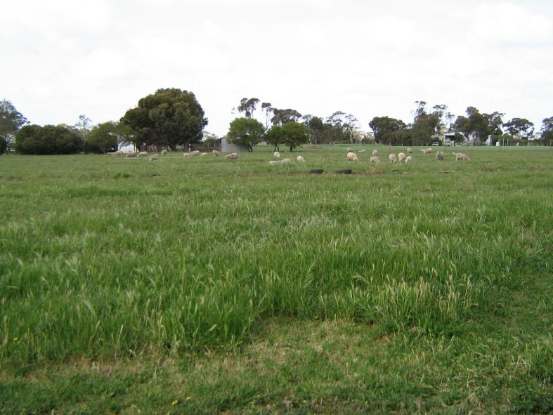 10.62 Acres
Rural Living
4.29HA Picture 3