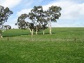 Grazing, Irrigation, Cropping Picture