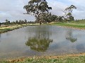 Grazing, Irrigation, Cropping Picture