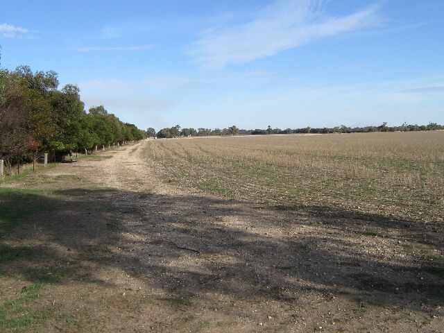 Prime Cropping Country - 10km North West of Bordertown Picture 2