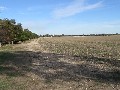 Prime Cropping Country - 10km North West of Bordertown Picture