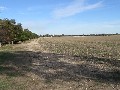 Prime Cropping Country - 10km North West of Bordertown Picture