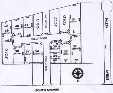 McLean Aveune Subdivision Picture