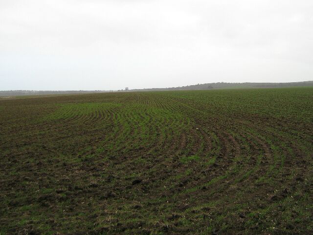 The Great Allrounder Picture 3