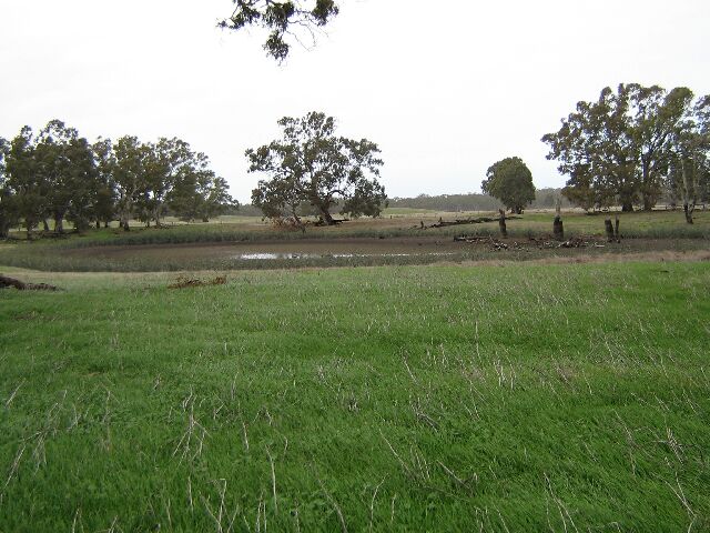 The Great Allrounder Picture 1