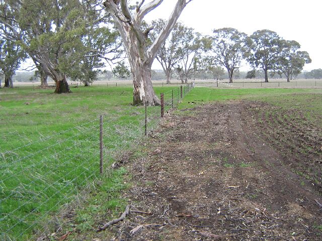 The Great Allrounder Picture 2