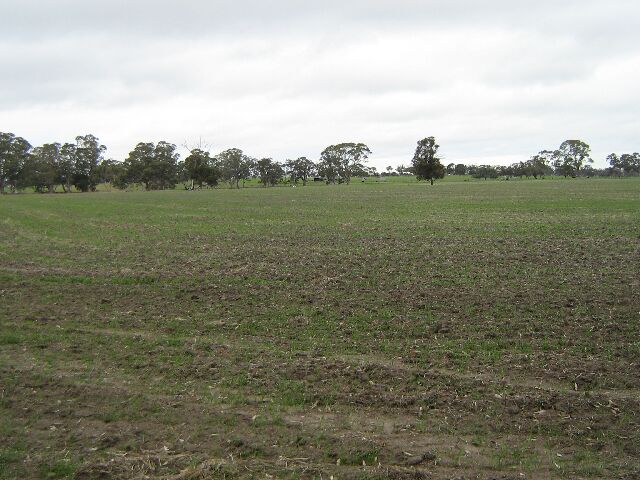 100 Acres Rural Living Picture 3