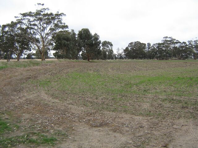 100 Acres Rural Living Picture 2