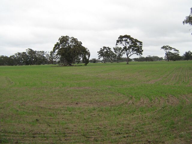 100 Acres Rural Living Picture 1