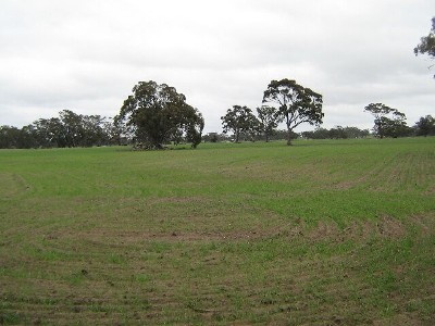 100 Acres Rural Living Picture