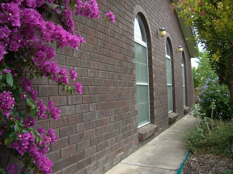 Hidden Gem Picture 2