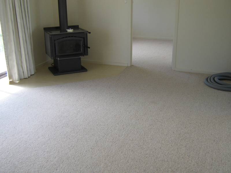 Shenola Downs Picture 2