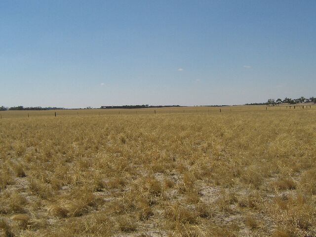 Section 92 Picture 2