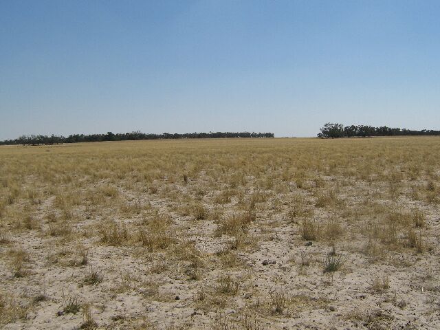 Section 92 Picture 1