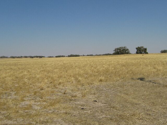 Section 92 Picture 3