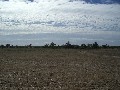 Great Value Rural Living Allotment Picture