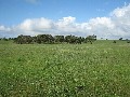 27 km North West on Pinnaroo Road Picture