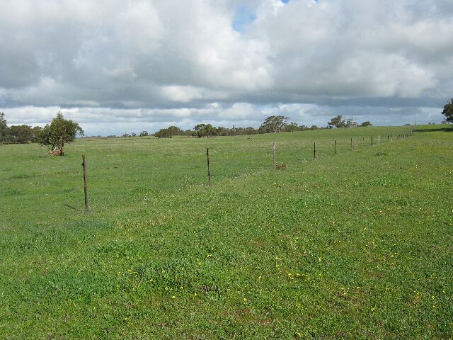 27 km North West on Pinnaroo Road Picture 1