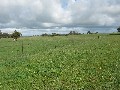 27 km North West on Pinnaroo Road Picture