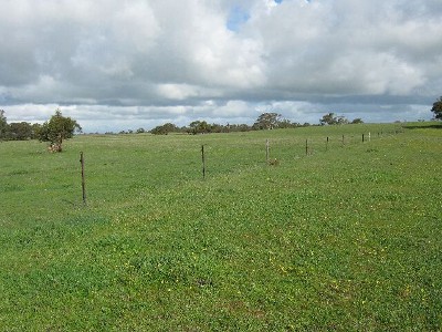 27 km North West on Pinnaroo Road Picture